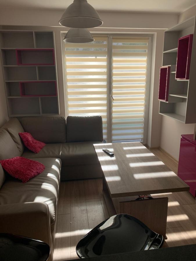 Apartament One Ogrodek I Parking ゴジュフ・ヴィエルコポルスキ エクステリア 写真